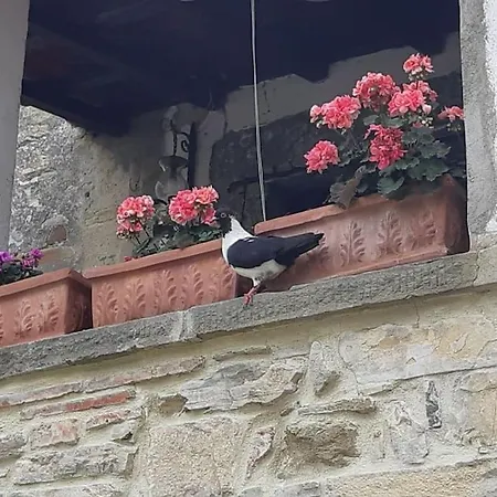 La Casa Di Nina Pulicciano