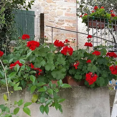 La Casa Di Nina דירה *